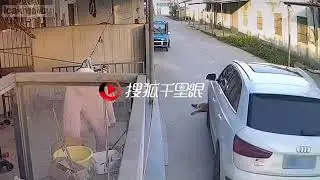 Woman driver run over sleeping dog