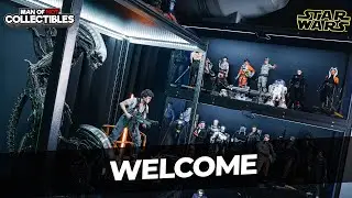 Welcome to The MAN OF HOT COLLECTIBLES Channel!