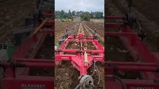 How Satisfying