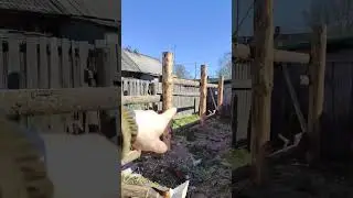 Сэкономил на заборе в деревне