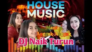 Remix House Music-Dj Naik Turun
