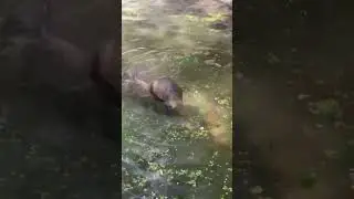 #Москва