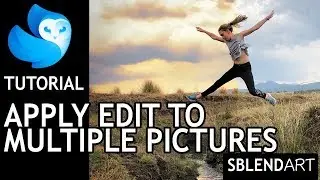 enlight Quickshot photo editor tutorial - Apply edit to muliple images
