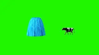 Cow Crossing fountain green screen