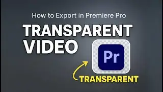 How to Export a Transparent Video in Premiere Pro
