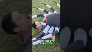 Why I was attacked by a GIANT spider... #loweshalloween