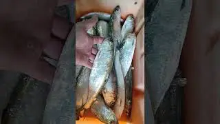 Вкуснейшая донская селедка #Shorts