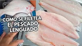 como filetear un lenguado #fish #lenguado #cevicheperuano