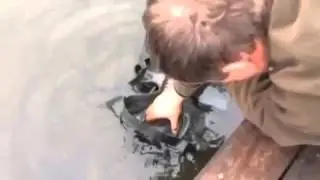 IMG 3135