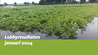 Lobbyresultaten ZLTO januari 2024