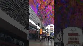 Ziplining on Fremont Street in Las Vegas