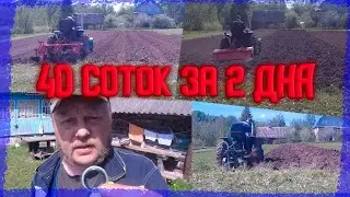 Подготовка участка к посадке за 2 дня.
