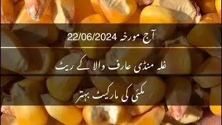 Maki rate today|Maize rate today| galla mandi Arifwala Punjab Pakistan