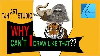 How I use the vector pen tool in Affinity Designer to paint the Elephant,Tiger and Gorilla.
