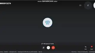 calling lasagna cat IN 2020
