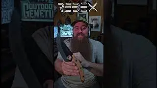 Rebex Package. OPENING!