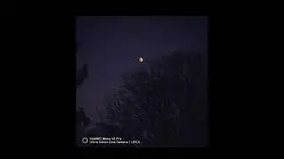 NEXT-IMAGE Awards 2021 — Telephoto EN