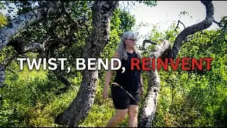 Reinventing Retirement: Finding Beauty in the Bend