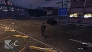Grand Theft Auto Stupidity