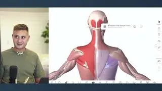Разбор участников. Показываю причины искривлений.