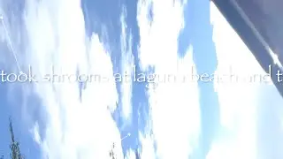 Ryan Hall - i took shrooms at laguna beach and thought of you (official lyric video)