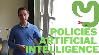 Policymaking Artificial Intelligence