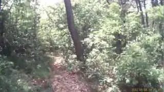Epic Downhill MTB Hostěraz