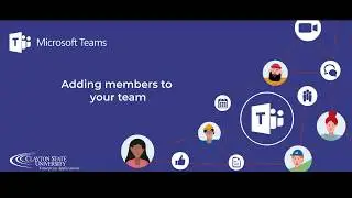 How to add members to your team