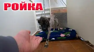 В ПРИЮТ ПРИЕЗЖАЛИ ЖУРНАЛИСТЫ, МЫ НАВЕСТИЛИ РОЯ И КУПИЛИ НЕОБХОДИМОЕ!! ВСЕГО ПО НЕМНОГО!!