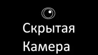 Обзор видео - Скрытая Камера - САМВЕЛ И GRADENIKO ЗАБРАЛИ ЩЕНКА У КРИСТИНЫ. ПОЛНЫЙ РАЗБОР СИТУАЦИИ