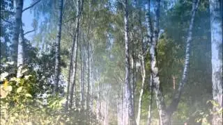 Приходит Осень Поёт Валентин Коршак, сл. Розалия Мартысь