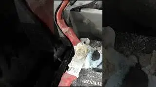 Странный факт