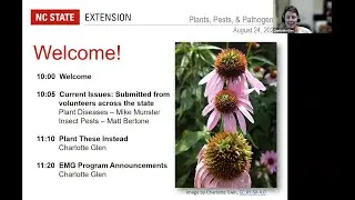 PPP August 2021 | EMG Photos of Pest & Disease Issues