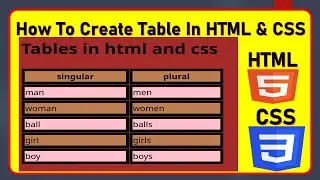 Create Table In HTML & CSS | How To Create Table In HTML & CSS
