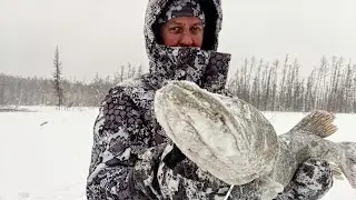 This is FIRST ICE!!! The TROPHY opening of the 2021-22 season!!!