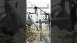 Род-под? Буз бар? Или же стоики?