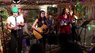 Tiny Jungle Concert - Fruits of My Labor by Storey Littleton (Lucinda Williams Cover)