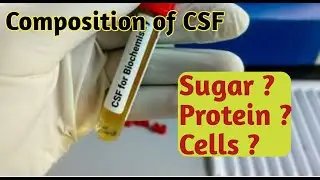 CSF examination | Composition of CSF