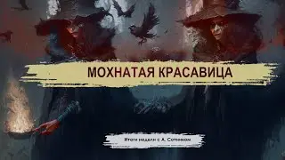 МОХНАТАЯ КРАСАВИЦА Итоги недели с А. Сотником