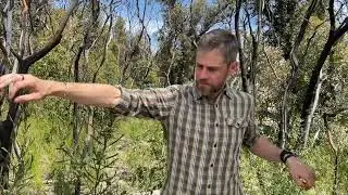 Climate Psychology Summit 20 Nov 2021 - Session 2 - Trauma & resilience