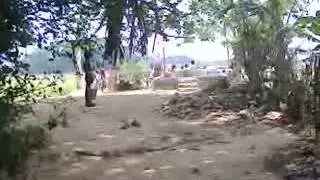 Views of Local People