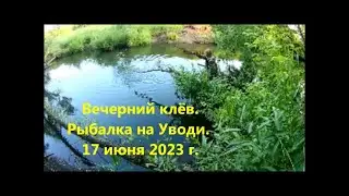 Вечерний клёв на Уводи.