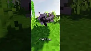 Zgadnij przedmiot w minutę #2 #minecraft #puzzle #gaming #foryou #gameplay