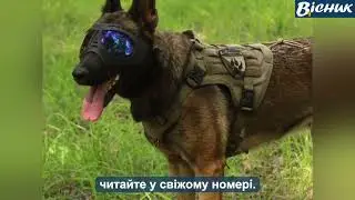 🔵 Собаки-саперки-іноземки прибули до однієї з військових частин Ніжина з Італії, Польщі та Фінляндії
