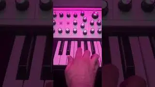 Making #808 inspired slides on my #synth #musicproducer #sounddesign #analog