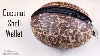 Amazing Wallet from Coconut | The JS Education