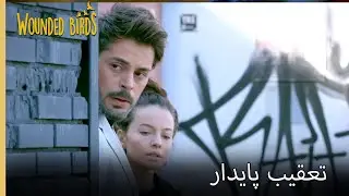 خواهر و برادر آشکار می شوند | نمیره قسمت 201 | پرندگان زخمی