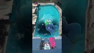 Huge Pool Of Luigi (Super Mario Bros Wonder)