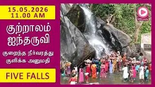 Five Falls | 15.05.2026, 11.00 AM | குற்றாலம் ஐந்தருவி வீடியோ | Kutralam Season Today | KutralamLive