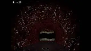 The smile room